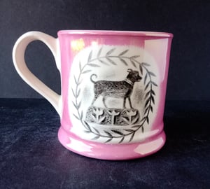 Cat and dog mug - World of Wonders