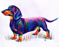 Image 1 of Rainbow Dachshund