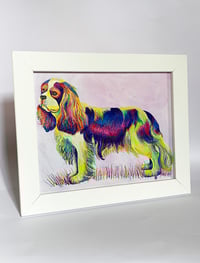 Image 2 of Rainbow King Charles Spaniel