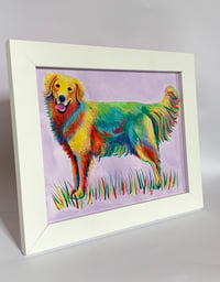 Image 2 of Rainbow Golden Retriever