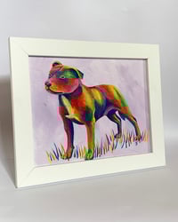 Image 2 of Rainbow Staffie