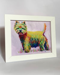 Image 2 of Rainbow Westie