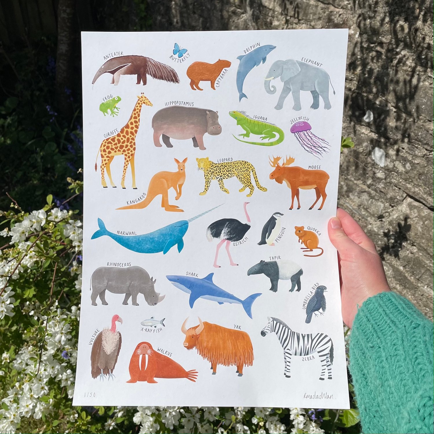 Animal A-Z Print