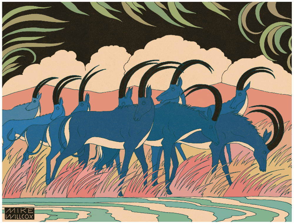 Image of Bluebucks in a Storm