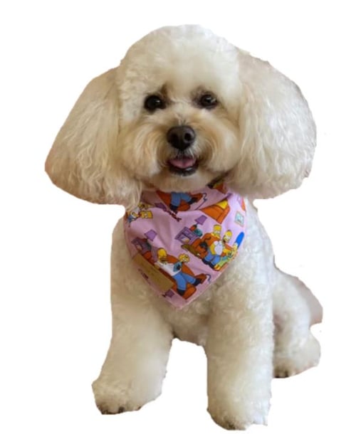 Image of Simpsons Pet Bandana