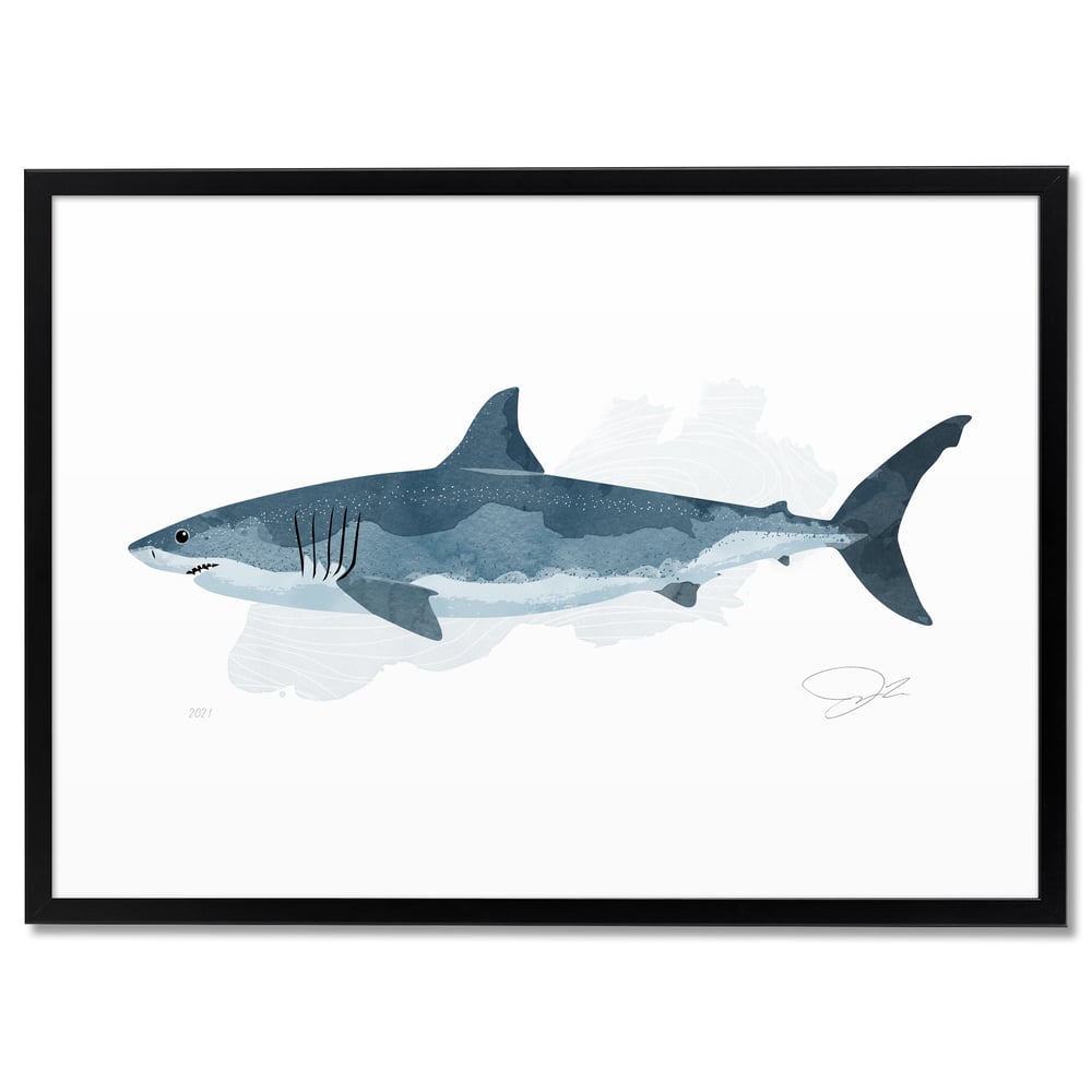 Print: Shark