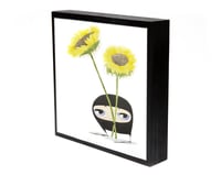 Image 1 of The Nones Sunflowers 8x8" Mounted Print 