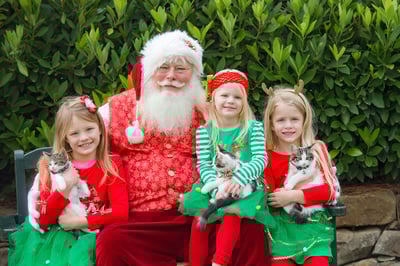 Image of *Private Event* - Santa and Family Mini-sessions - Sunday, December 4th