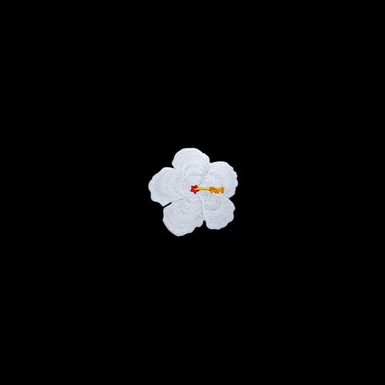 Image of White glow-in-the-dark hibiscus 