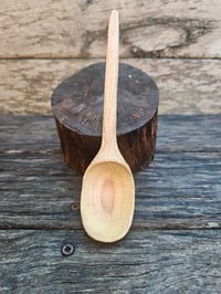 Image 1 of Grevillea scoop.