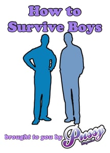 Image of Surviving Boys - The Guide