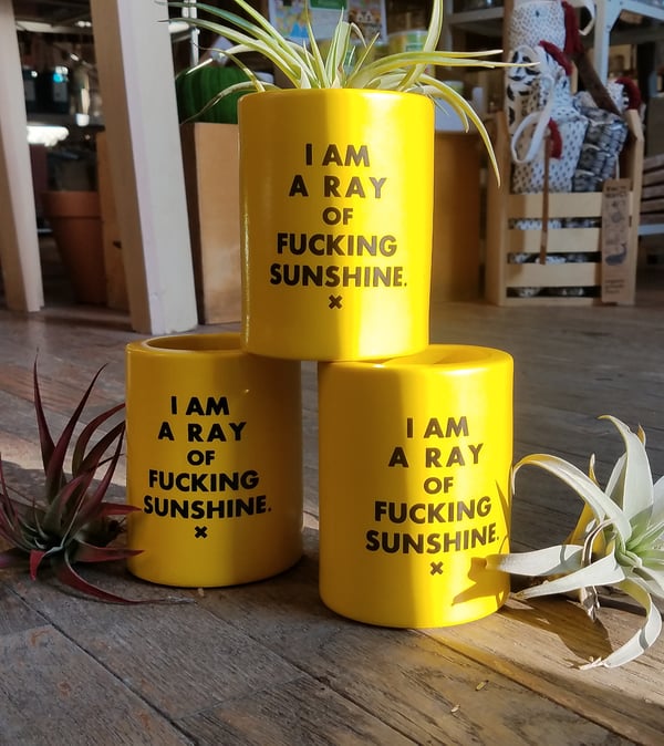 Image of I am a Ray Of Sunshine Koozie