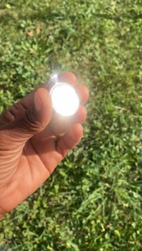 Image 3 of Violet Light MWO Antenna 