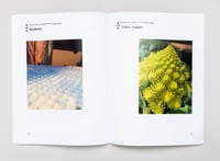 Image 2 of Trippy Training Data