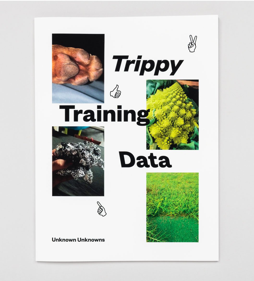 Image of Trippy Training Data