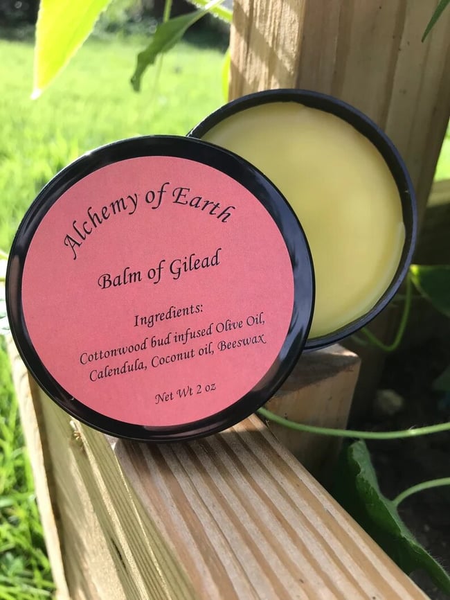 Balm of Gilead