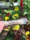Beeswax Lip Balm