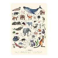 Tree of Life - Mammals
