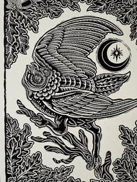 Image 3 of Barn Owl Print