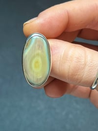Image 1 of Jasper Sunset Ring | size 9