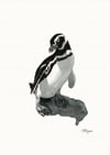 Penguin I