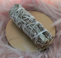 Image 2 of White Sage