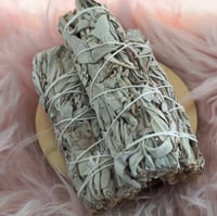 Image 1 of White Sage