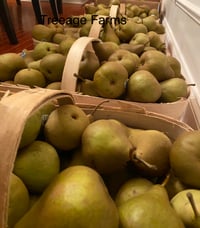 Image 4 of Canned Pears 32oz.  (Bosc) 
