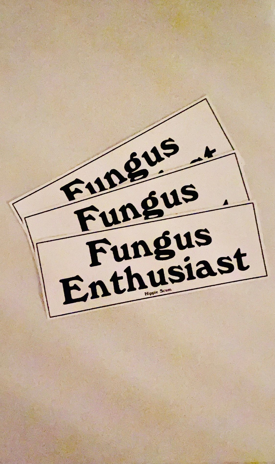 Image of FUNGUS ENTHUSIAST STICKERS