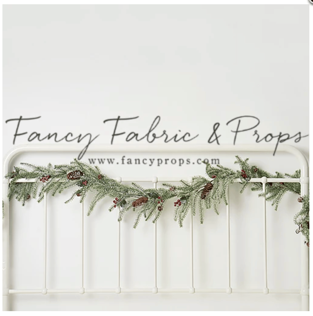 Image of 5th Annual Holiday Mini Sessions for Charity!