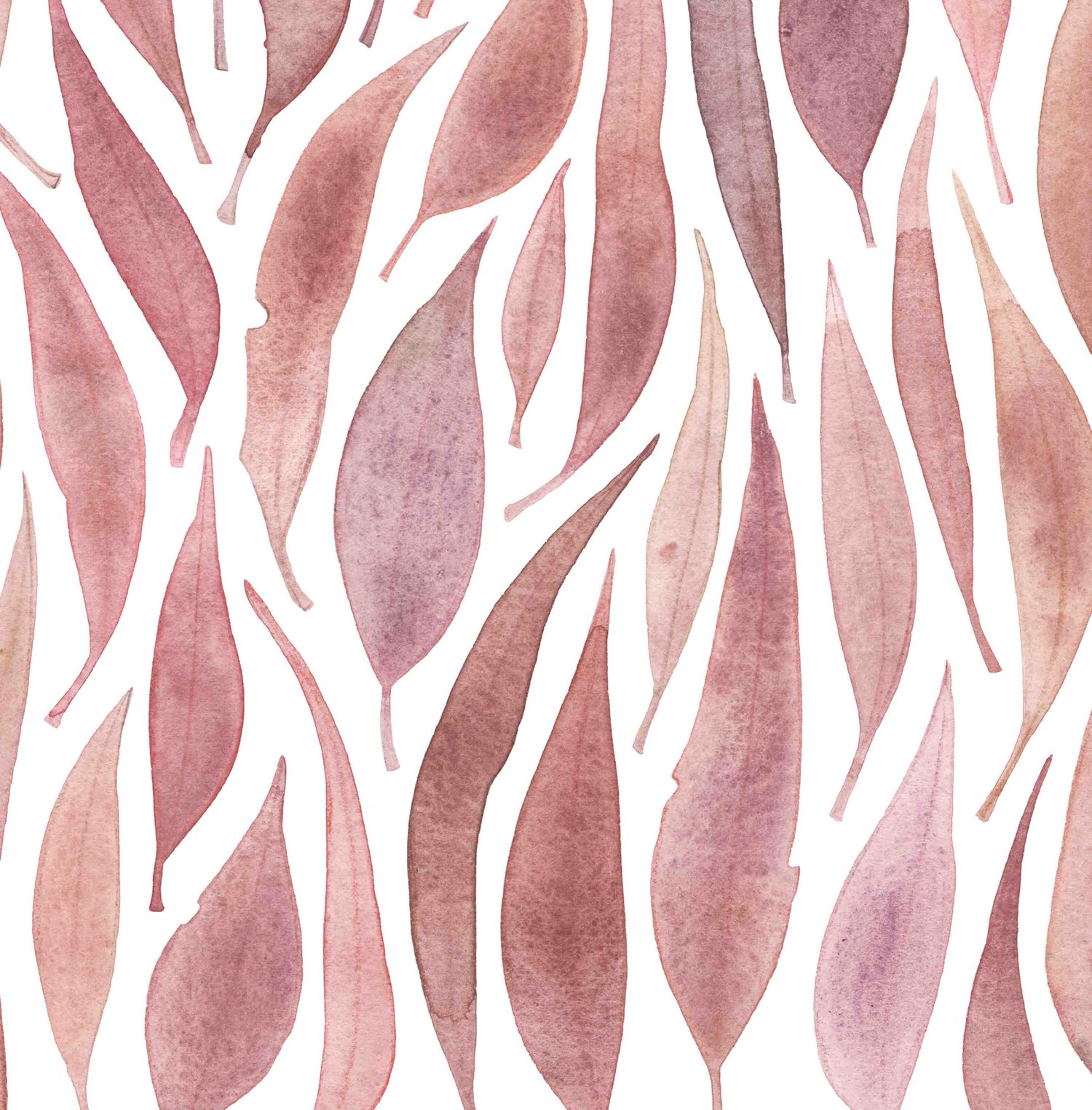 Image of Eucalyptus Leaves Pink (Landscape Orientation) Fine Art Print