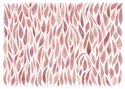 Eucalyptus Leaves Pink (Landscape Orientation) Fine Art Print