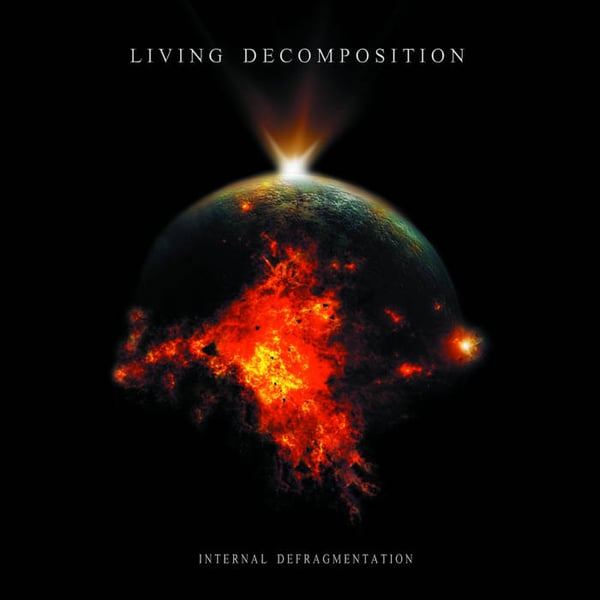 Image of Living Decomposition - Internal Defragmentation