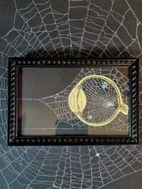 Image 1 of ANTIQUE ANATOMICAL COLLECTION - Preserved web  D