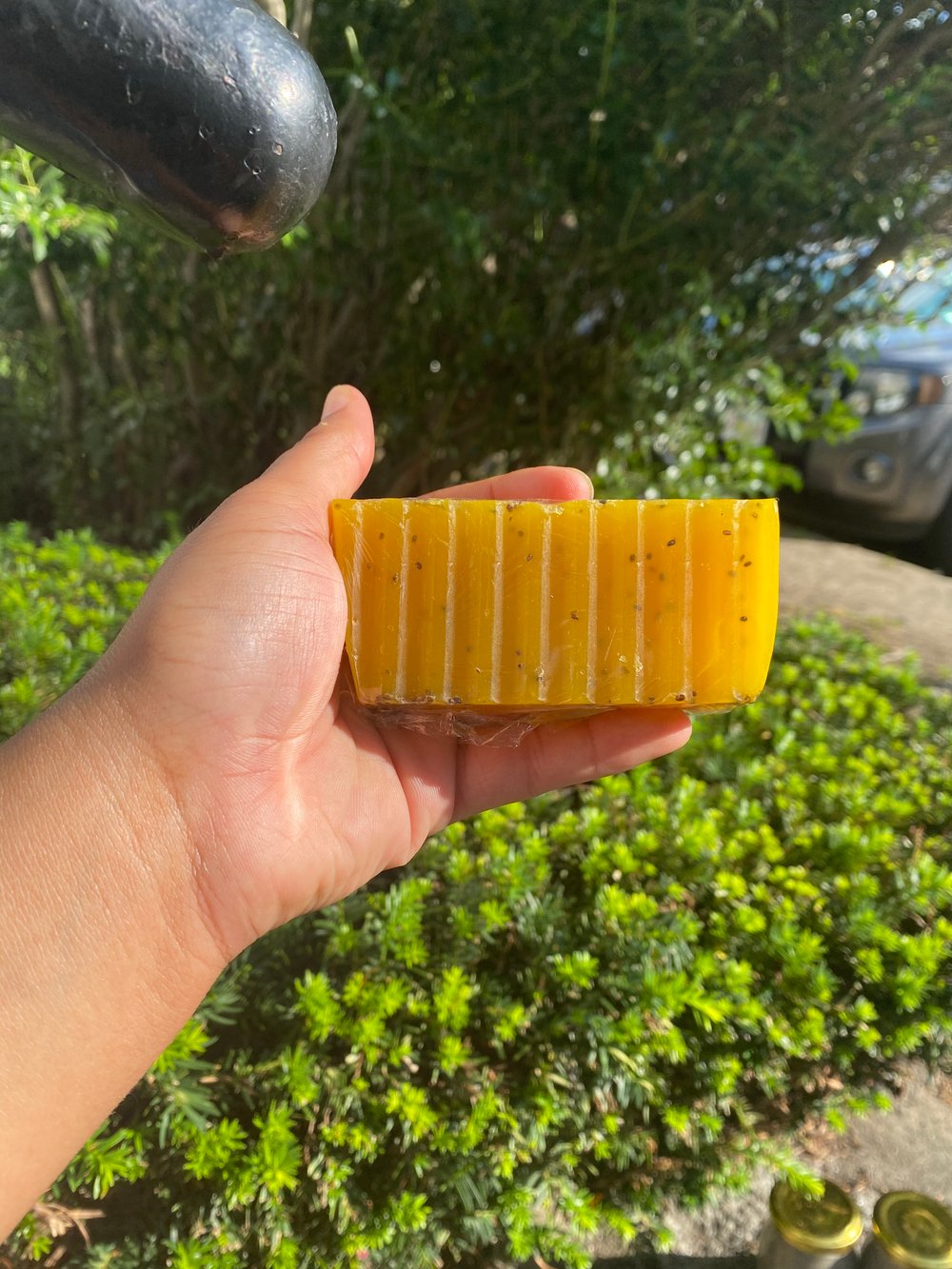 Carrot Turmeric Chia Seed Soap