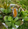 PICTURE JASPER HORSESHOE RING