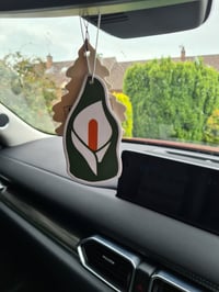 Air freshener 