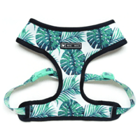 Frenchie Harness