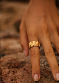 Image 4 of Colima Ring