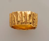Image 5 of Colima Ring