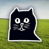 observation cat sticker