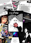 A Dresden Dolls FanZine