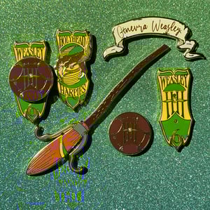 Chaser Ginnie of the HollyHead Harpies & Qwality Qwitdditch Supplies