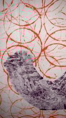 Image 2 of Antics in Orange and Purple 3/10