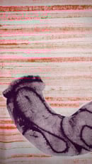 Image 2 of Antics in Orange and Purple 6/10