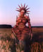 Image of "THE WICKER WOMAN" sunset edition