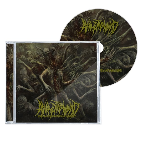 Image of ANAL STABWOUND "ABSTRACTION BATHES IN SUNLIGHT" CD