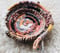 Image of Only Natural Woven Basket