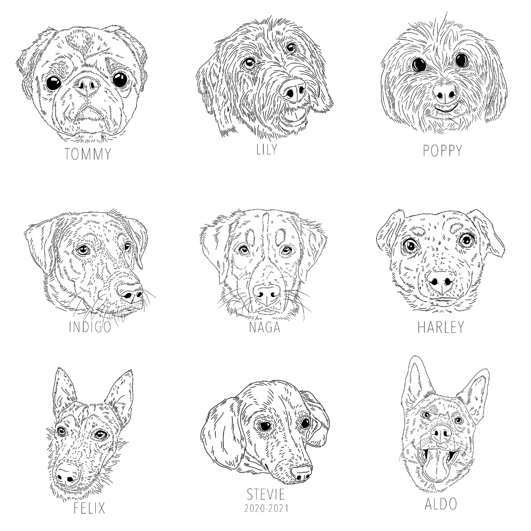 Stitch Your Pet! - Custom Pet Portrait Hand Embroidery PDF PATTERN ONLY