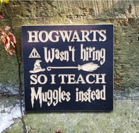 Hogwarts Wasnt Hiring So I Teach Muggles Instead 